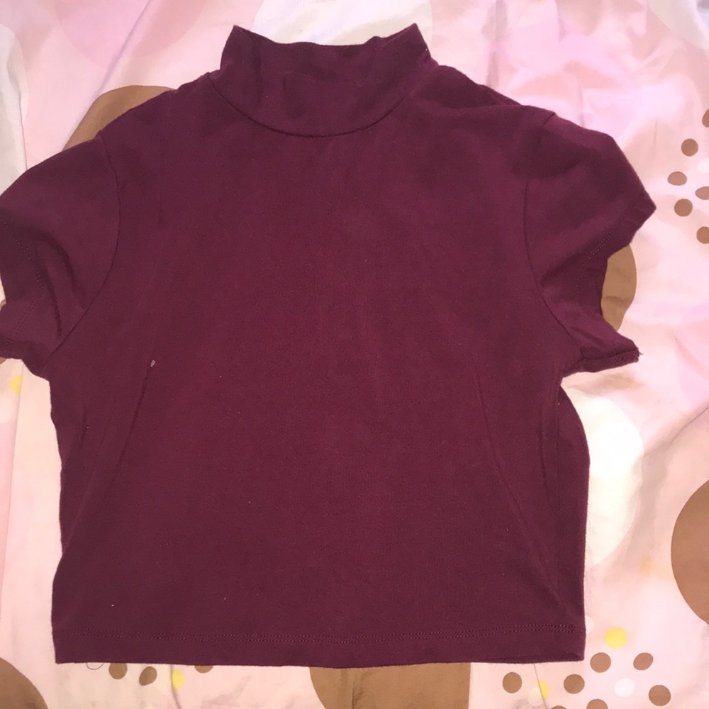 Maroon croptop turtle neck